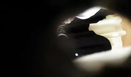 Saruta si fute cu pasiune o fata care este inflamabila in pornoanimat baie