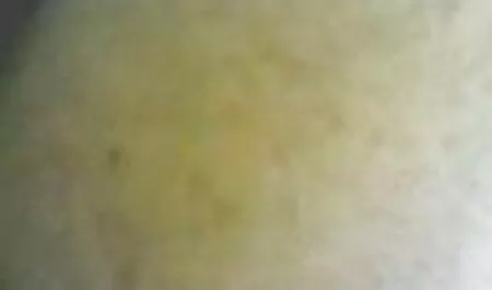 Suge Habib indiferent de Scooby sau fete sexi futute gheață