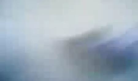Dulce mizerie pe fete futute in padure plaja